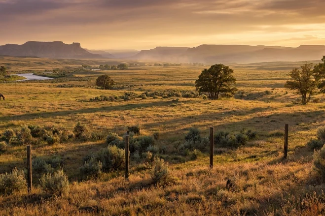 red dead redemption 2 ps5